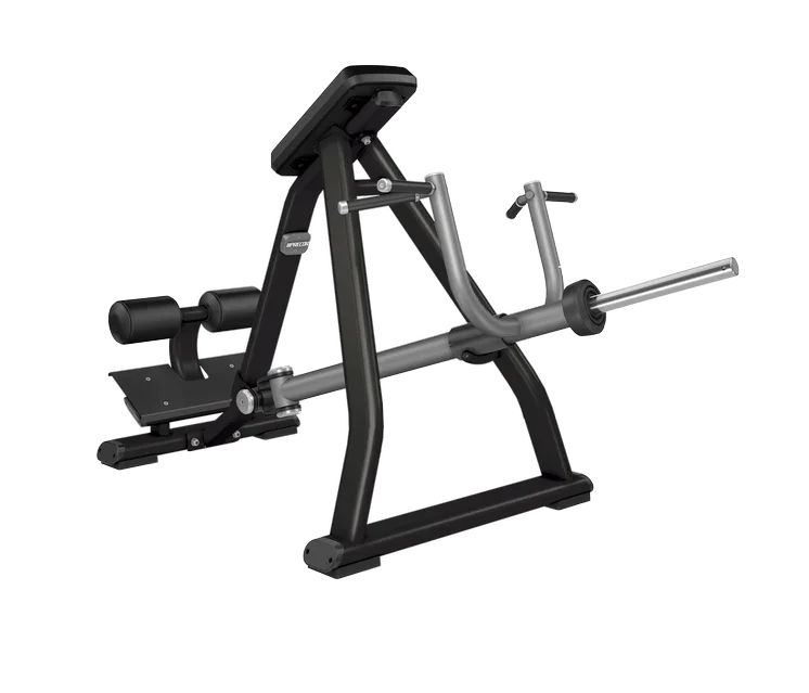 Discovery Lever Bent Over Rower DPL0311 (Neuf)