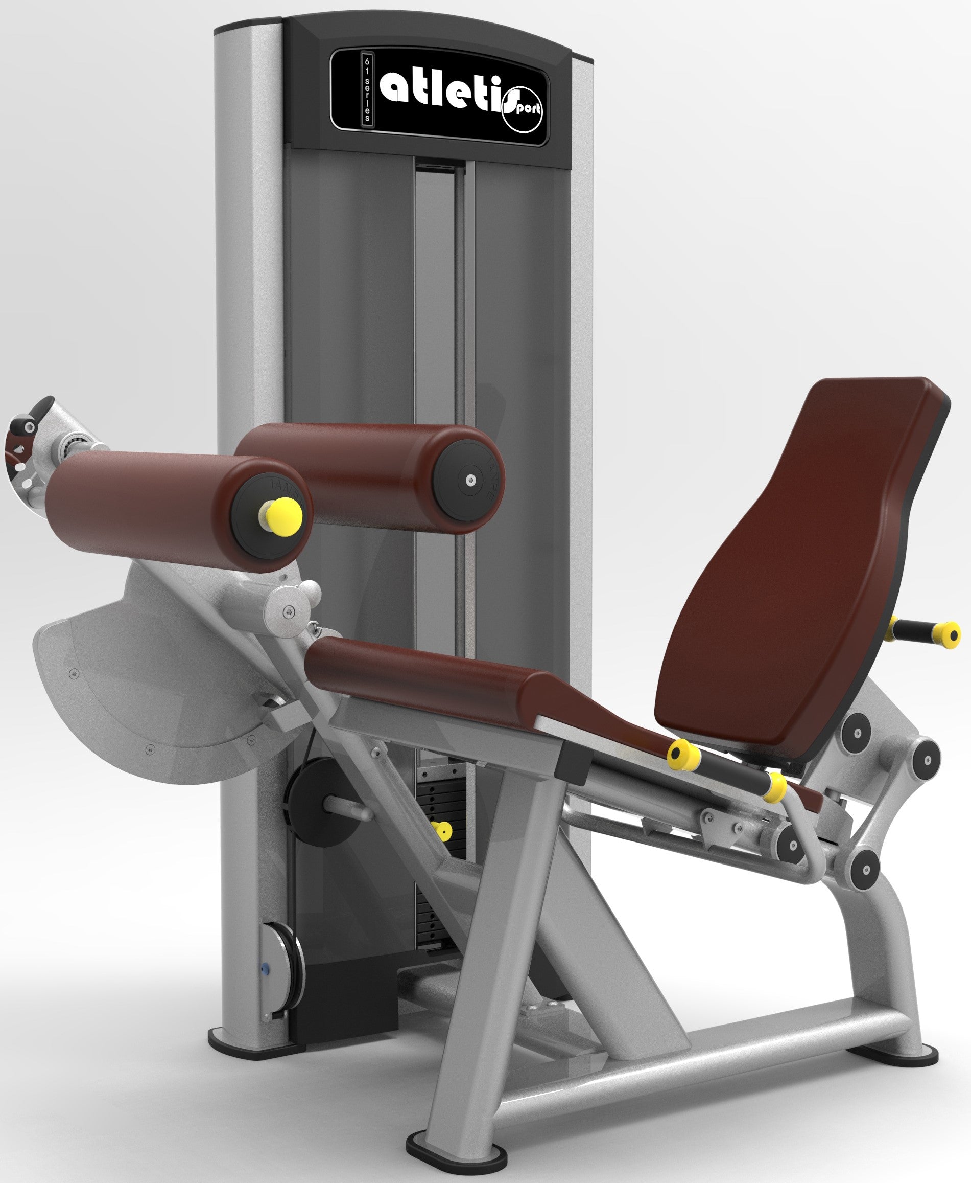 Leg Curl assis (Neuf)