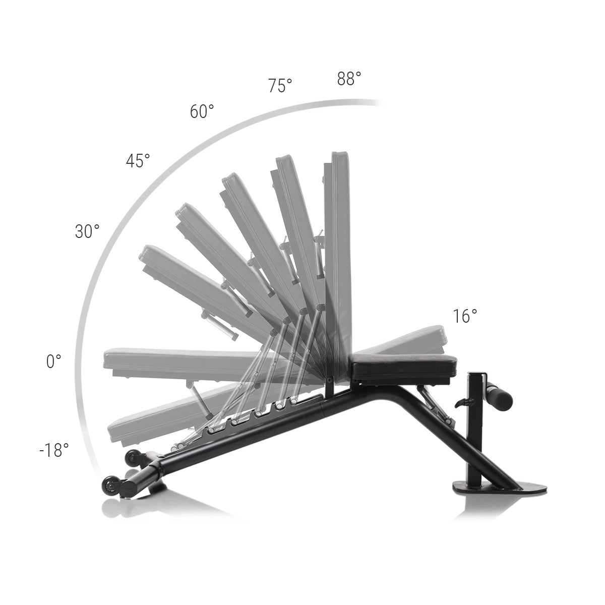 Banc de musculation Autark (Neuf)