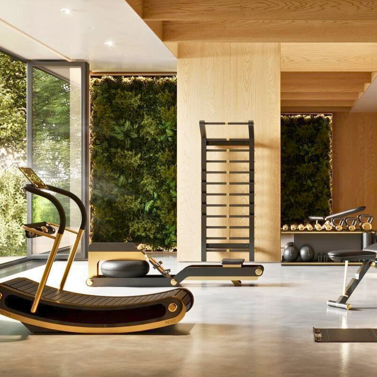 Étude de conception - Espace fitness premium