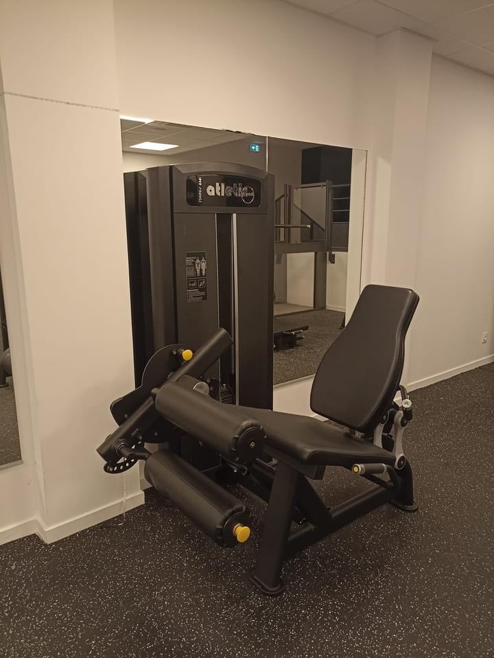 Leg Curl assis (Neuf)