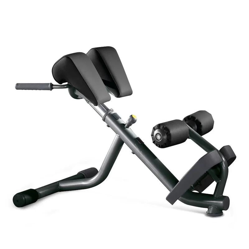 Lower Back Bench - Banc lombaires (Neuf)