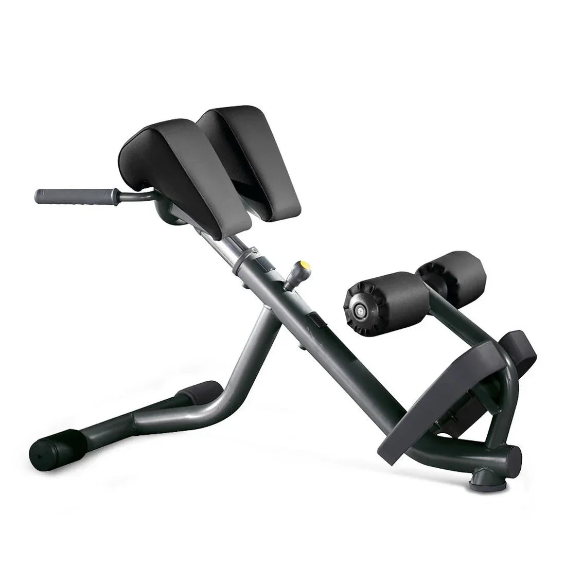 Lower Back Bench - Banc lombaires (Neuf)