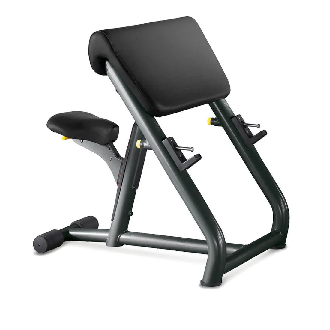 Scott Bench - Banc Biceps (Neuf)