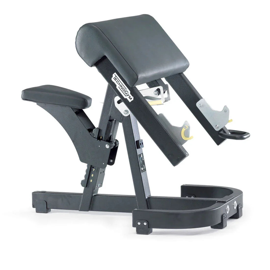 Scott Bench Pure - Banc Biceps (Neuf)