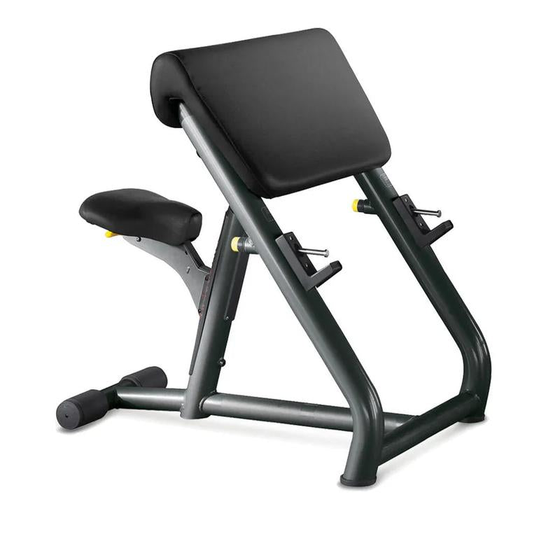 Scott Bench - Banc Biceps (Neuf)