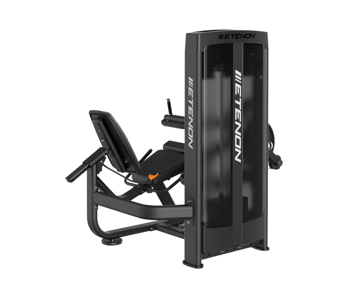 R8 Dual Leg Extension/Seated Leg Curl – Machine jambes multi-fonction (quadriceps / ischios) (Neuf)