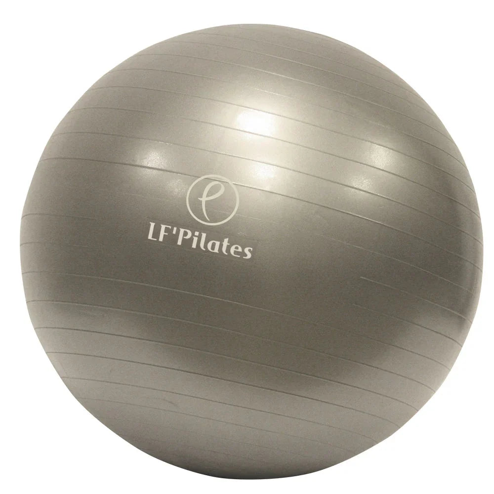 Gym Ball swiss ball renforcement gainage posture mobilité - CENTRALGYM.FR