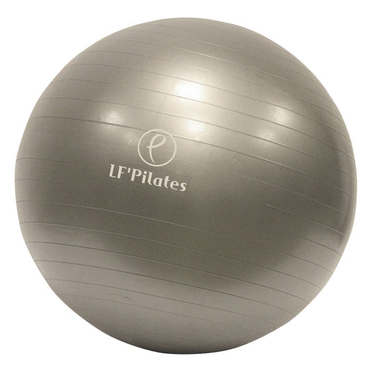 Gym Ball swiss ball renforcement gainage posture mobilité - CENTRALGYM.FR