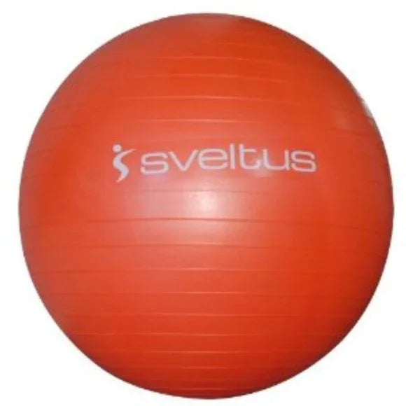 Gym Ball swiss ball renforcement gainage posture mobilité - CENTRALGYM.FR